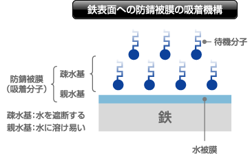 鉄表面への防錆被膜の吸着機構